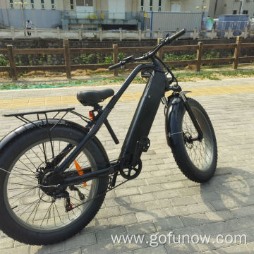 750W Lithium Battery 48V Electric Bicycle Electric Bikes